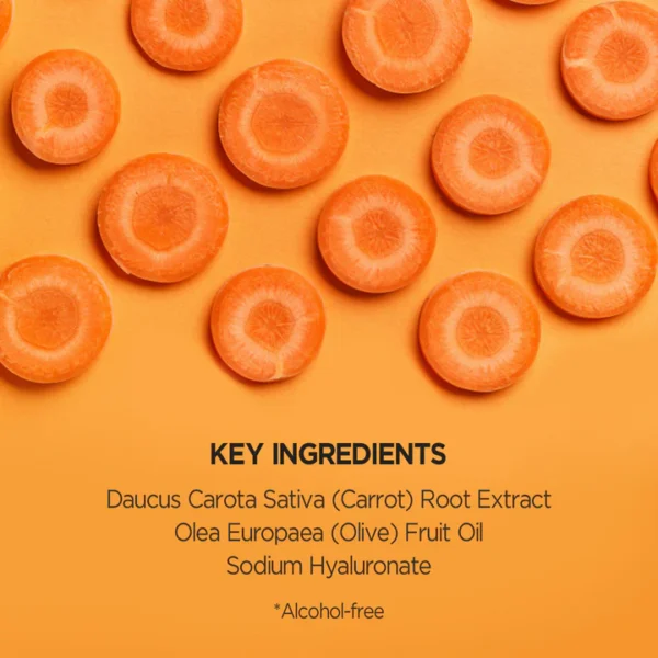 SKINFOOD - Carrot Carotene Calming Water Pad (60 pcs) - Image 4