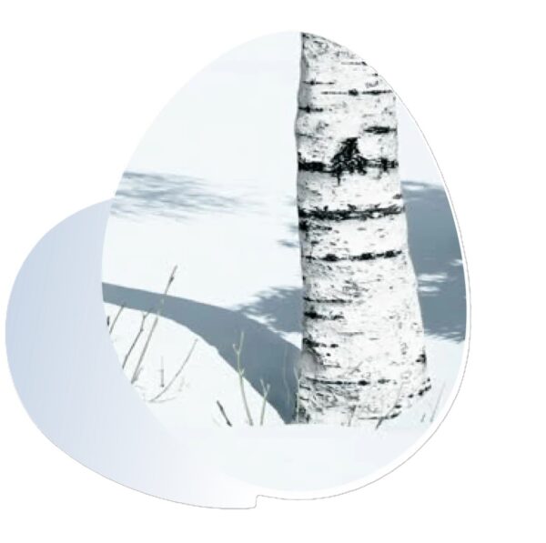 Round lab birch juice moisturizing sunscreen (150 ml) - Image 2